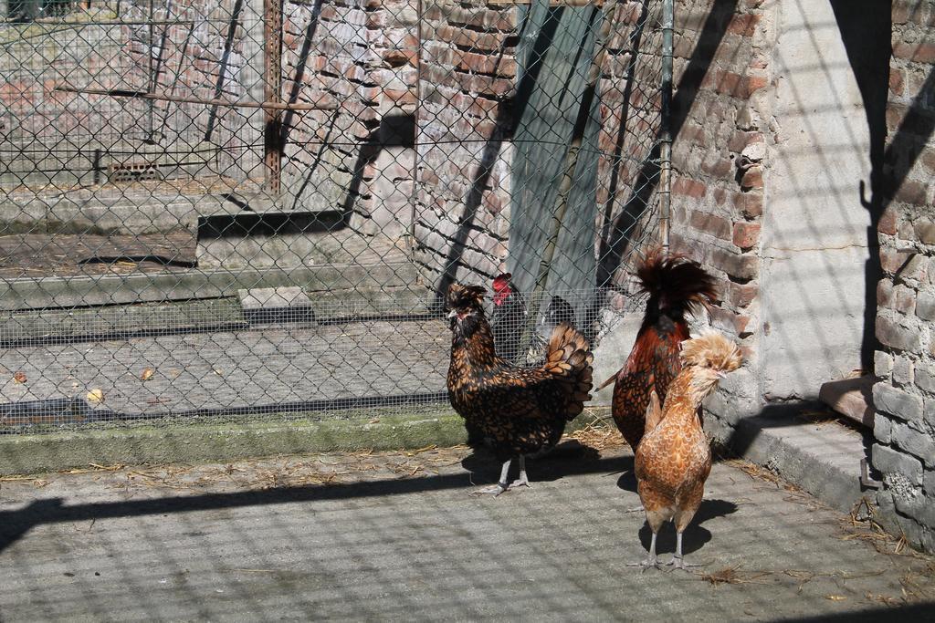 Agriturismo Le Clementine Badia Polesine Экстерьер фото