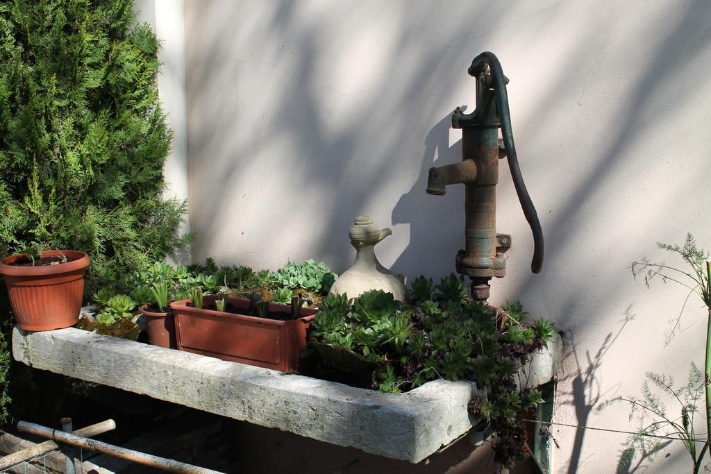 Agriturismo Le Clementine Badia Polesine Экстерьер фото
