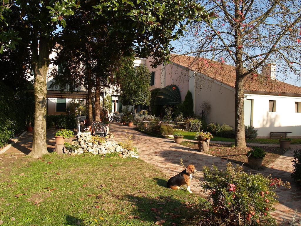 Agriturismo Le Clementine Badia Polesine Экстерьер фото
