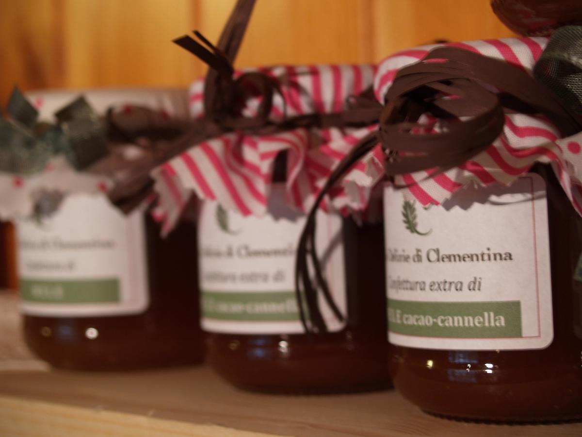 Agriturismo Le Clementine Badia Polesine Экстерьер фото